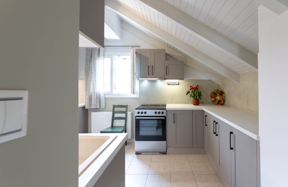 Domus City Apartment