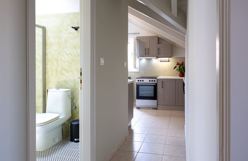 Domus City Apartment