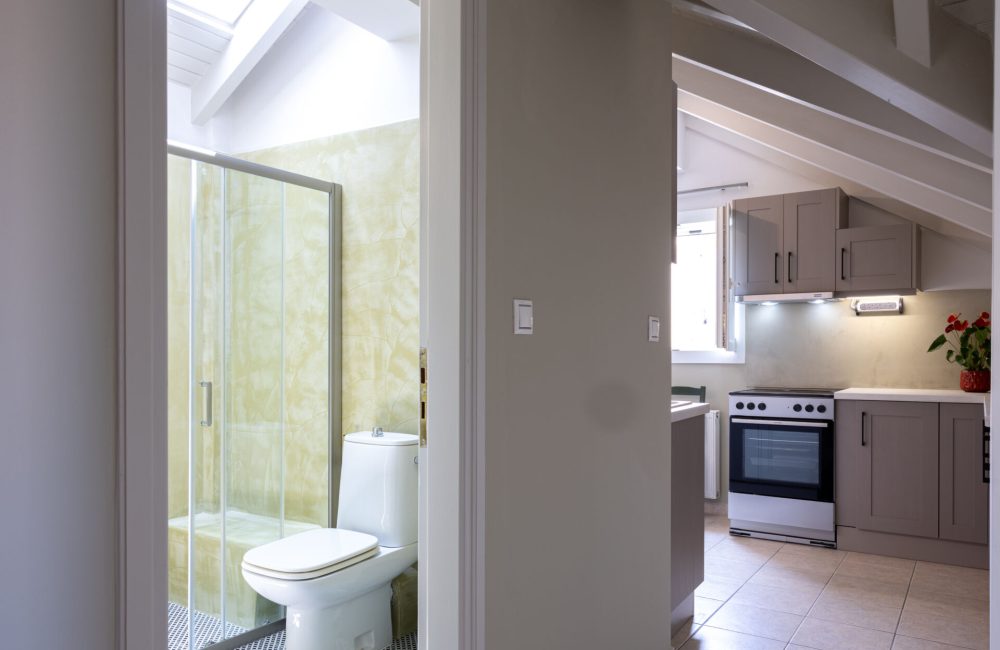 Domus City Apartment