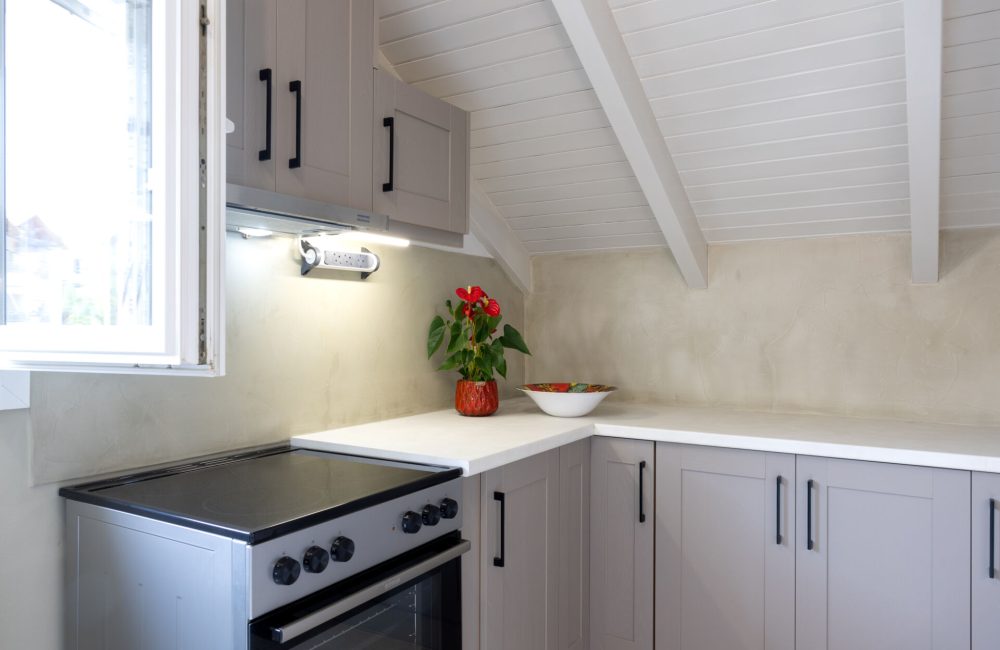 Domus City Apartment