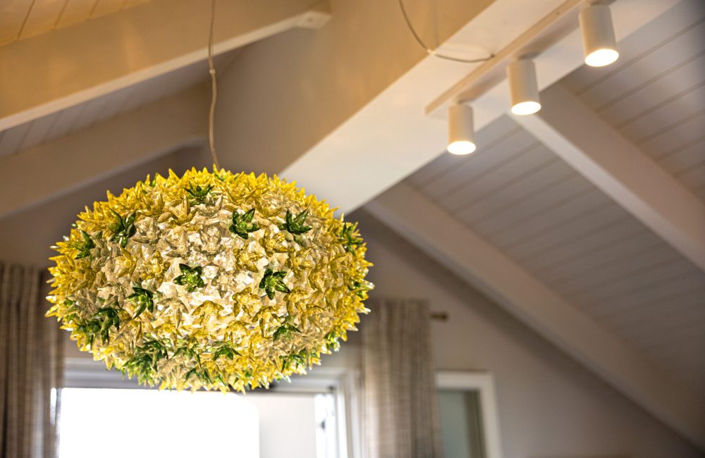 Domus City Apartment