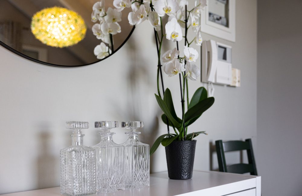 Domus City Apartment