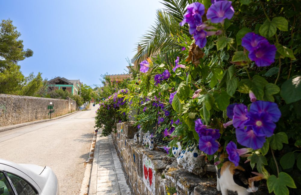 Domus City Apartment